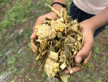 Silage Production